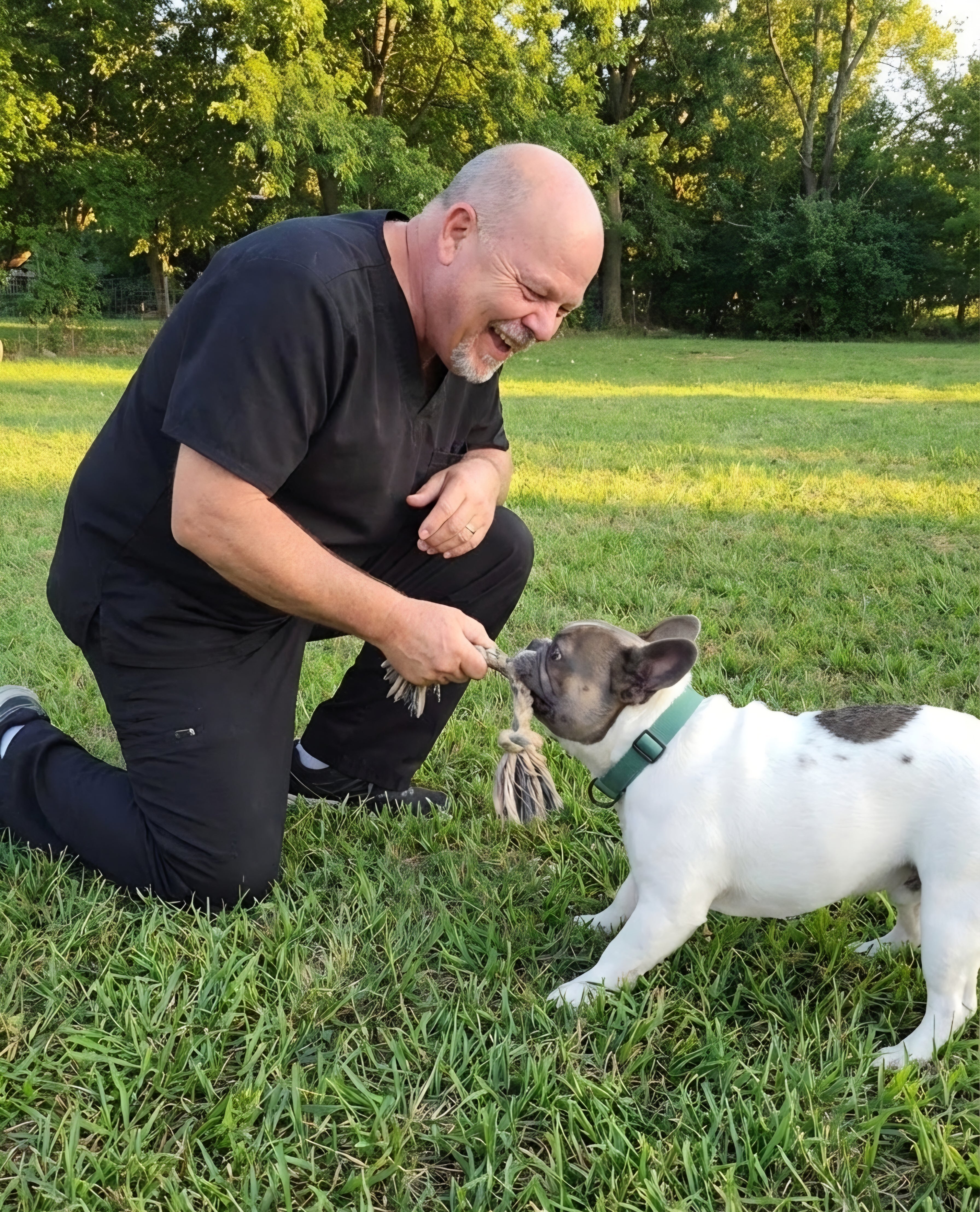 Vital Signs: A Nurse's Take on Keeping Your Dog Healthy at Home