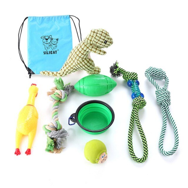 5 Ways to Channel Your Dog's "Rowdy" Energy (And The Gear That Survives It)