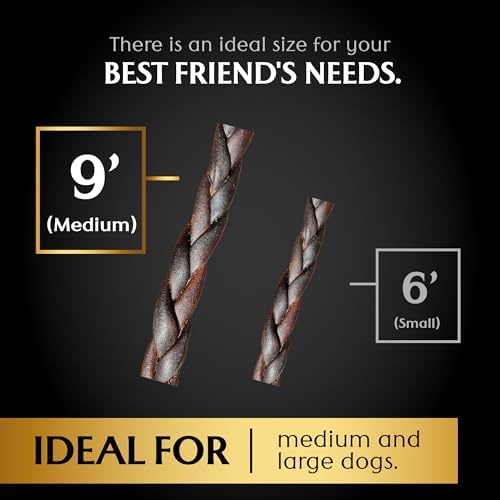 Braided Beef Hide with Collagen Dog Chew