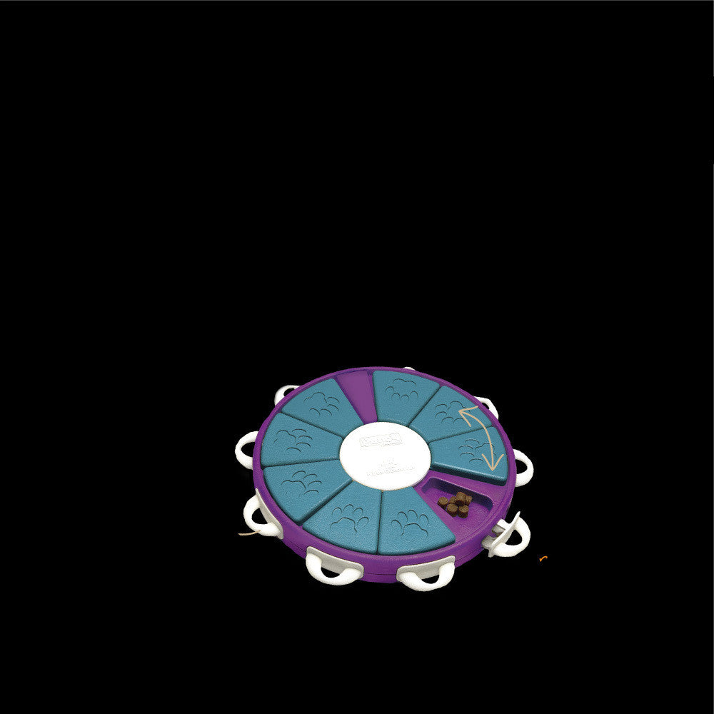 Engaging Dog Learning Toys