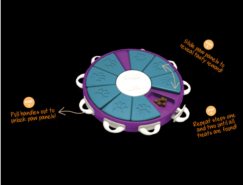 Engaging Dog Learning Toys